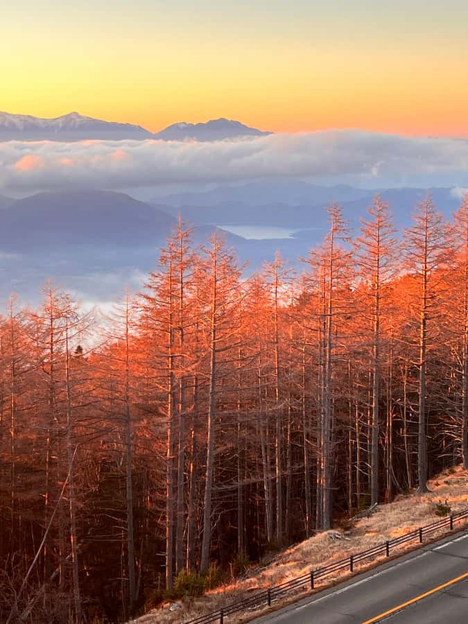 From Tokyo: Mount Fuji and Hakone Private Day Trip - Chureito Pagoda and the Fuji Five Lakes views