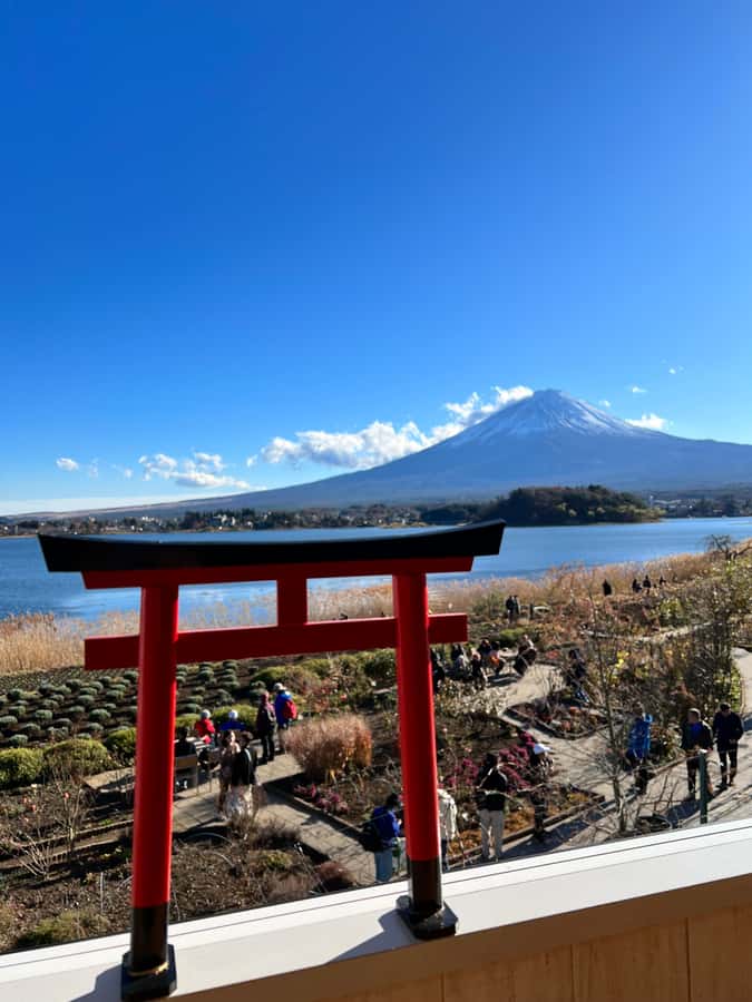 From Tokyo: Mount Fuji and Hakone Private Day Trip - Shrines beneath old cedar trees