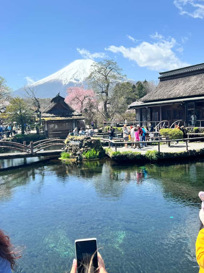 From Tokyo: Mount Fuji and Hakone Private Day Trip - Oshino Hakkai and the mountain’s clear water