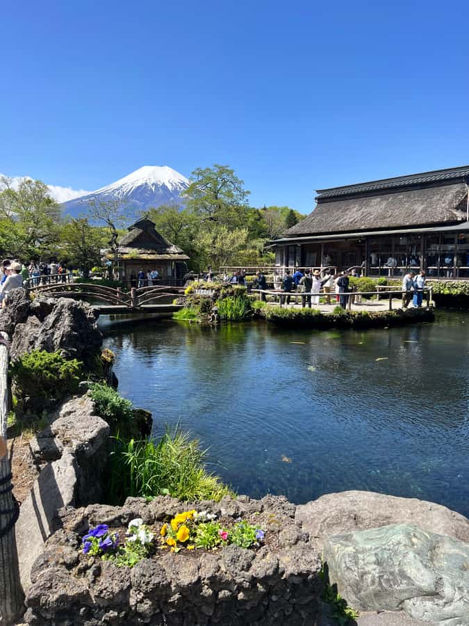 From Tokyo: Mount Fuji and Hakone Private Day Trip - Hakone Open Air Museum: art with room to breathe