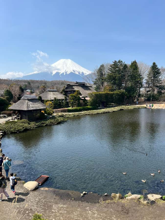From Tokyo: Mount Fuji and Hakone Private Day Trip - Owakudani and the volcanic side of Hakone