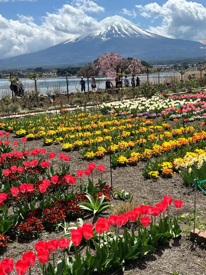 From Tokyo: Mount Fuji and Hakone Private Day Trip - Lake Ashi by pirate ship and ropeway