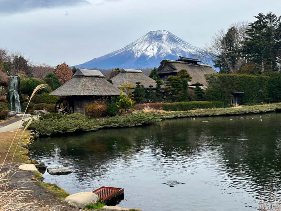From Tokyo: Mount Fuji and Hakone Private Day Trip - Subaru 5th Station at 2,300 meters