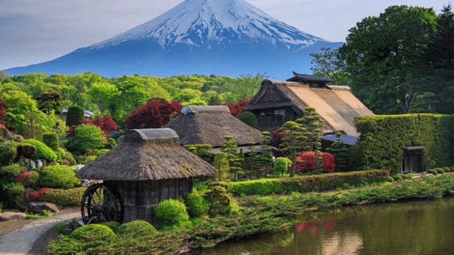 From Tokyo: Mount Fuji And Hakone Private Full Day Trip - Price, group size, and what you actually receive