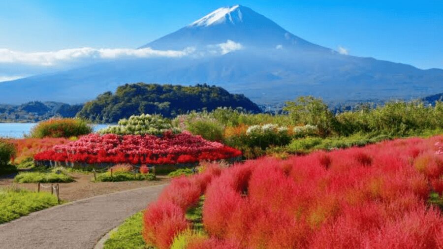 From Tokyo: Mount Fuji And Hakone Private Full Day Trip - Kitaguchi-hongu Fuji Sengen Shrine and Fuji’s spiritual side