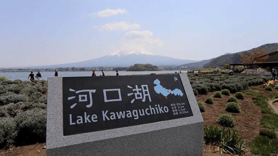 From Tokyo: Mount Fuji And Hakone Private Full Day Trip - Lake Kawaguchi and Oishi Park: the best chance for open Fuji views