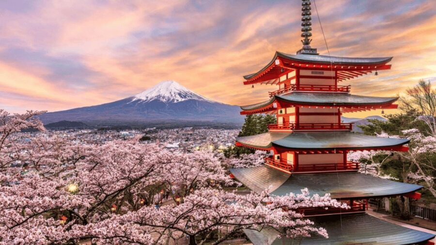 From Tokyo: Mount Fuji And Hakone Private Full Day Trip - Mt. Kachi Kachi Ropeway and the Hakone question