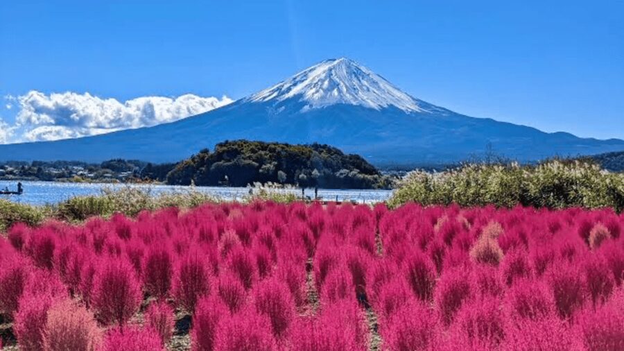 From Tokyo: Mount Fuji And Hakone Private Full Day Trip - How the ten-hour day really feels