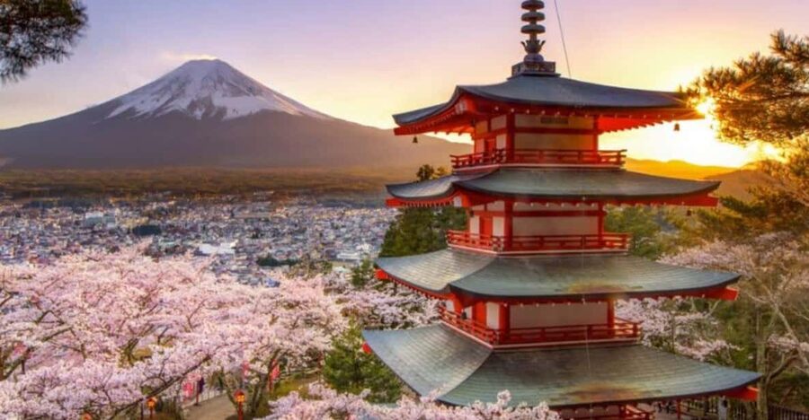 From Tokyo: Mount Fuji And Hakone Private Full Day Trip - Mount Fuji 5th Station: the closest mountain viewpoint