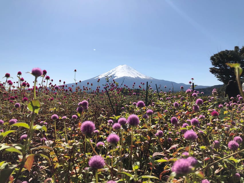 From Tokyo: Mount Fuji, Cruise and Sake Tour - Practical advice for a smoother day