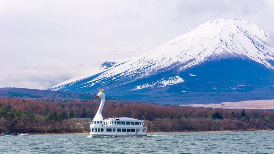From Tokyo: Mount Fuji, Cruise and Sake Tour - Lake Yamanaka and the 75-minute swan boat