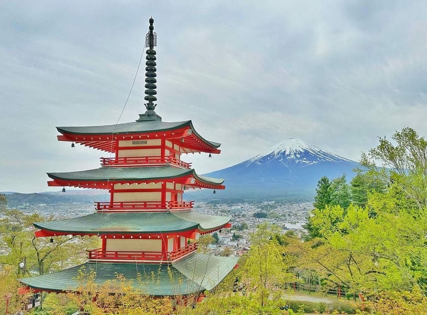 From Tokyo: Mount Fuji Customizable Sightseeing Tour - Why a private Mount Fuji day trip can be worth it