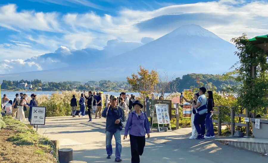 From Tokyo: Mount Fuji Customize Private Tour English Guide - What the $376 group price really means