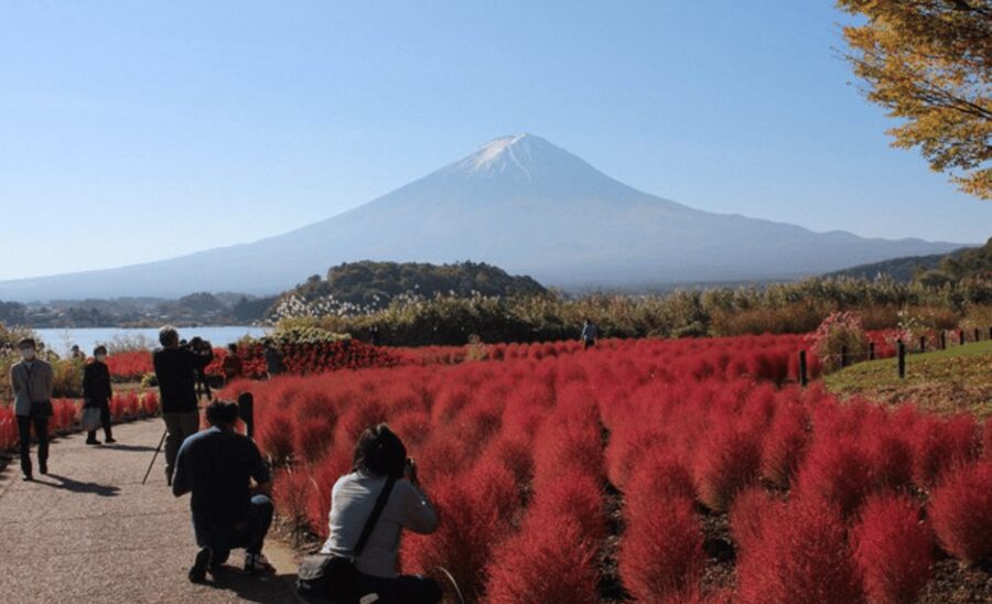 From Tokyo: Mount Fuji Customize Private Tour English Guide - Lake Kawaguchi, Kachi Kachi Ropeway, and Oishi Park