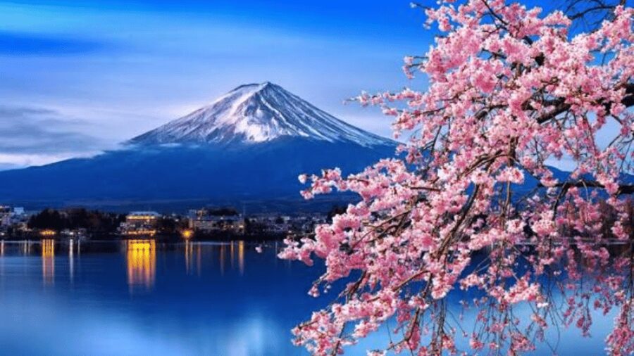 From Tokyo: Mount Fuji Customize Private Tour English Guide - Oshino Hakkai and Saiko Iyashi-no-Sato Nenba