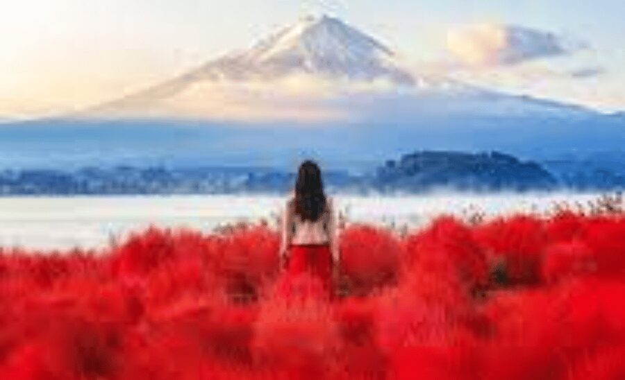 From Tokyo: Mount Fuji Customize Private Tour English Guide - Hakone Ropeway, Owakudani, and Lake Ashi
