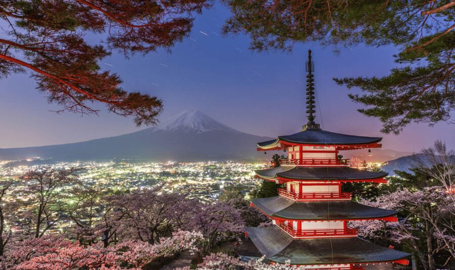 From Tokyo: Mount Fuji Full Day Customizable Private Tour - Key points to know before booking