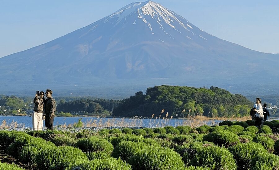 From Tokyo: Mount Fuji Full Day Customizable Private Tour - What this private Fuji day is really like
