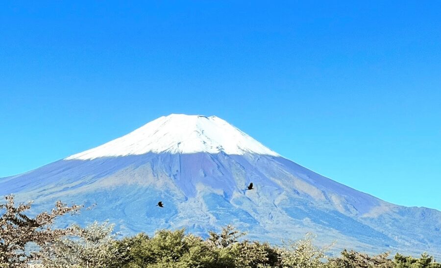From Tokyo: Mount Fuji Full Day Customizable Private Tour - Why the guide can make or break the day