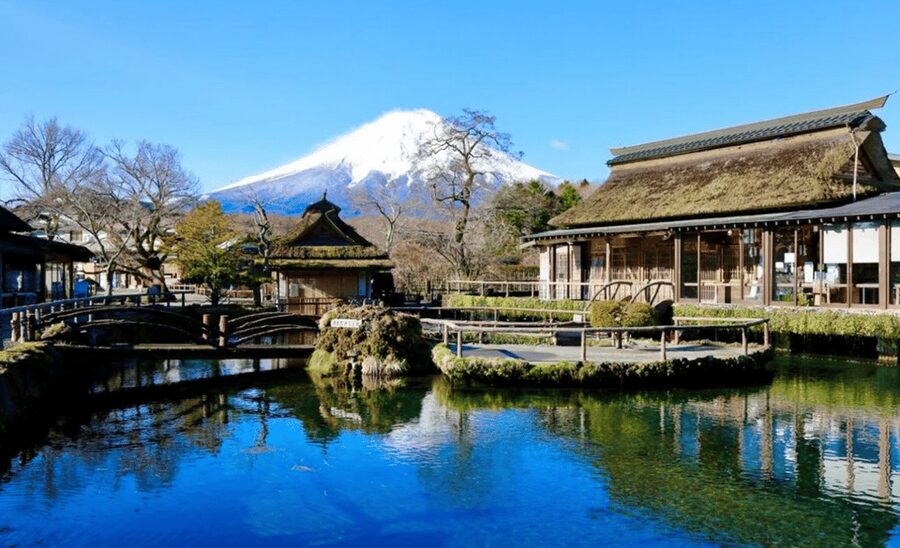 From Tokyo: Mount Fuji Full Day Customizable Private Tour - Transport, timing, and the price