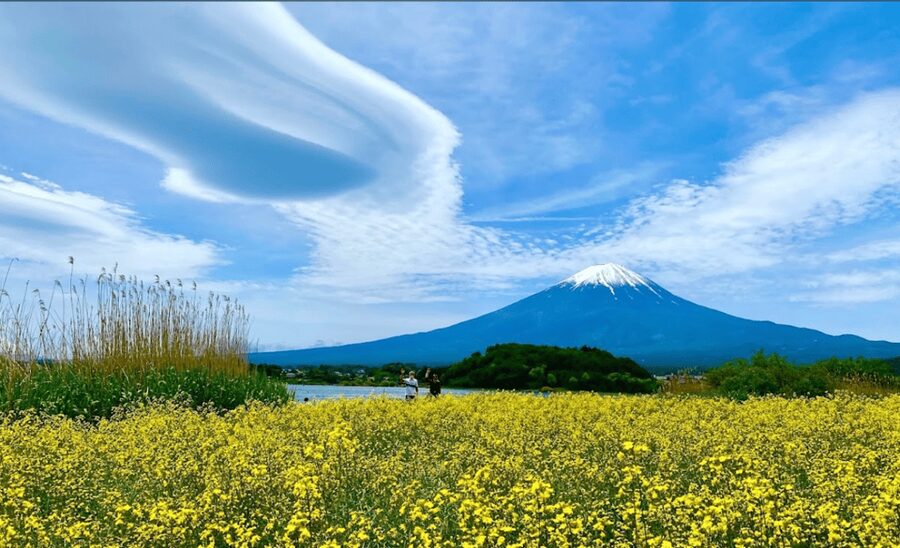 From Tokyo: Mount Fuji Full Day Customizable Private Tour - Weather, comfort, and who should book