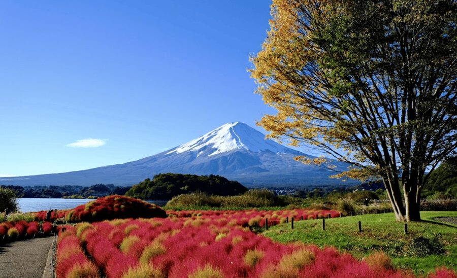 From Tokyo: Mount Fuji Full Day Customizable Private Tour - Should you book this Mount Fuji tour?