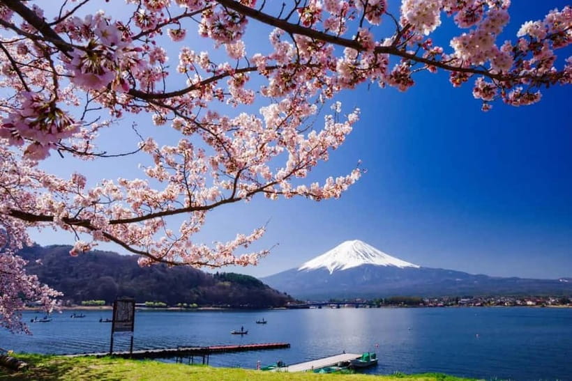 From Tokyo: Mount Fuji Full Day Private Customizable Tour - Why a private Fuji day trip makes sense