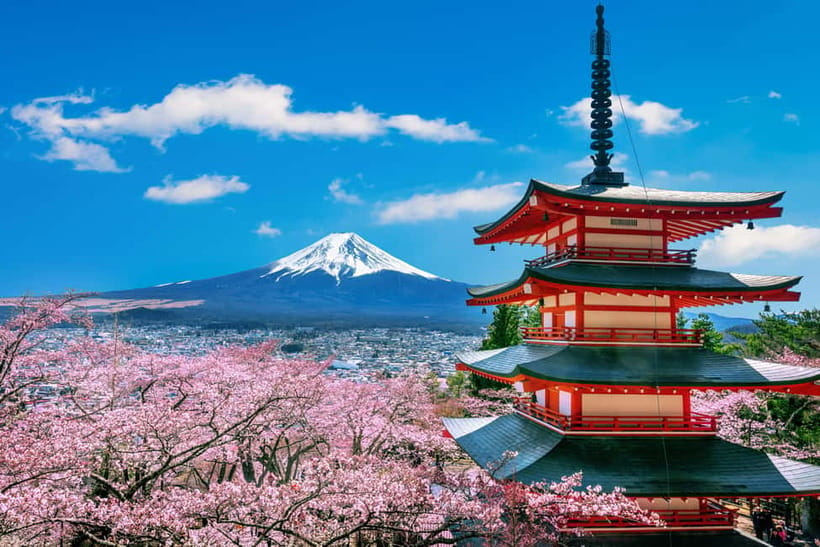 From Tokyo: Mount Fuji Full Day Private Customizable Tour - Lake Kawaguchi and Oishi Park