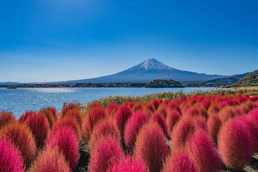 From Tokyo: Mount Fuji Full Day Private Customizable Tour - Your 10-hour day and the importance of leaving early