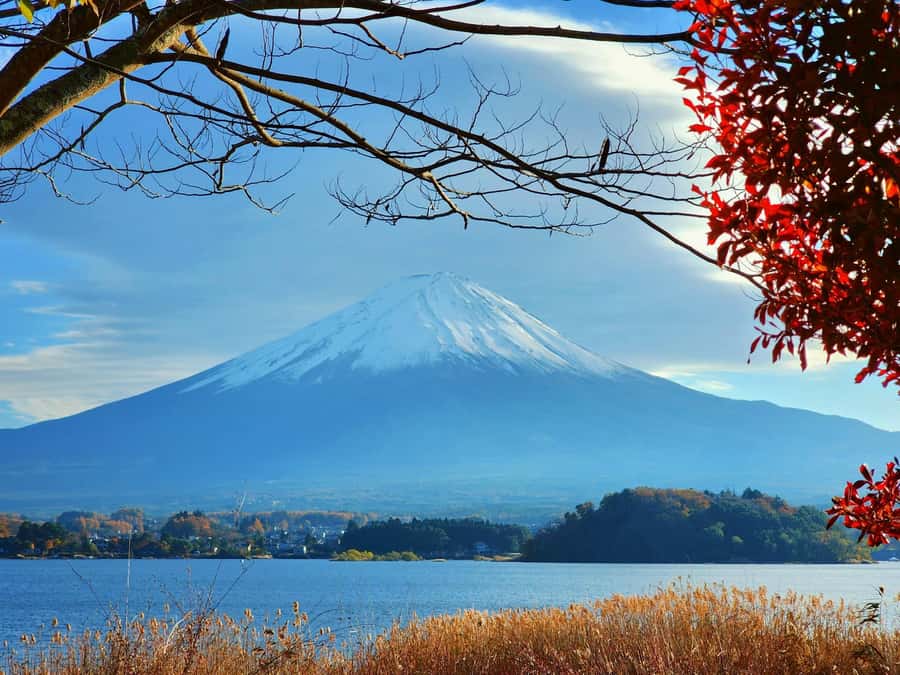 From Tokyo: Mount Fuji Full-Day Private Tour (Customizable) - Weather, walking, and family comfort