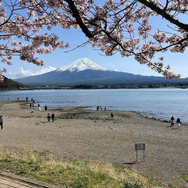 From Tokyo: Mount Fuji Full Day Private Tour (Customizable) - Why this private Fuji day works well from Tokyo