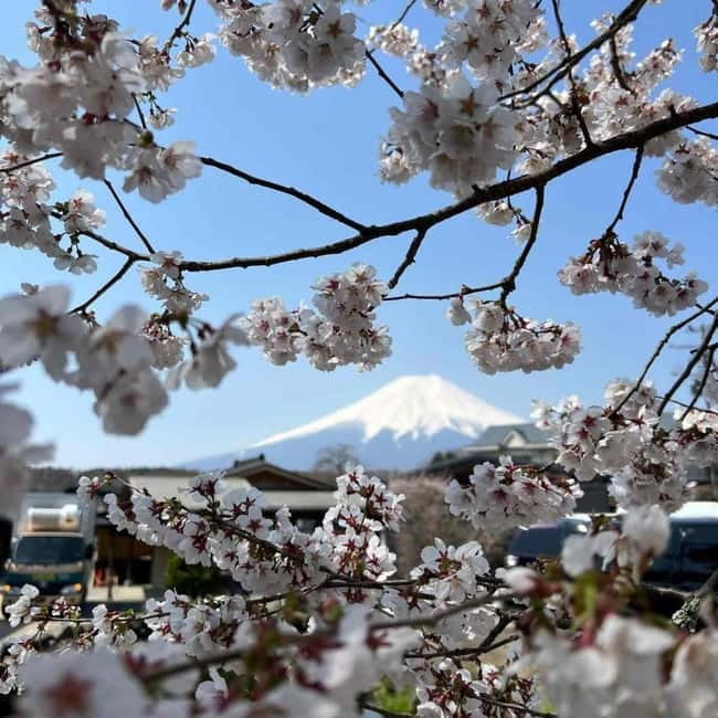 From Tokyo: Mount Fuji Full Day Private Tour (Customizable) - Lunch, Oishi Park, and Fuji Sengen Shrine