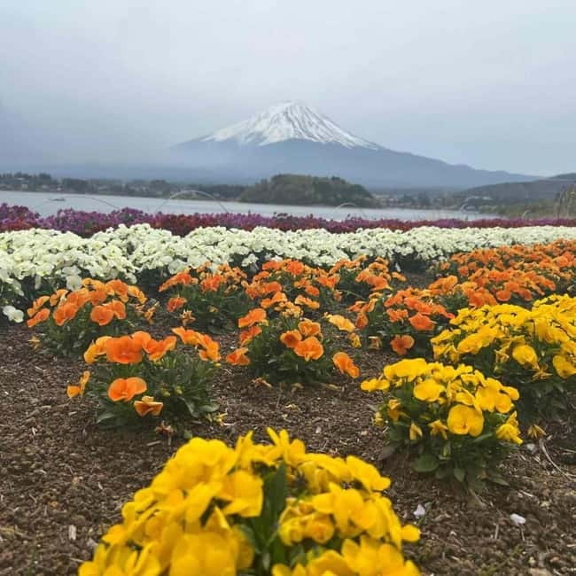 From Tokyo: Mount Fuji Full Day Private Tour (Customizable) - Adding Hakone without turning the day into a race