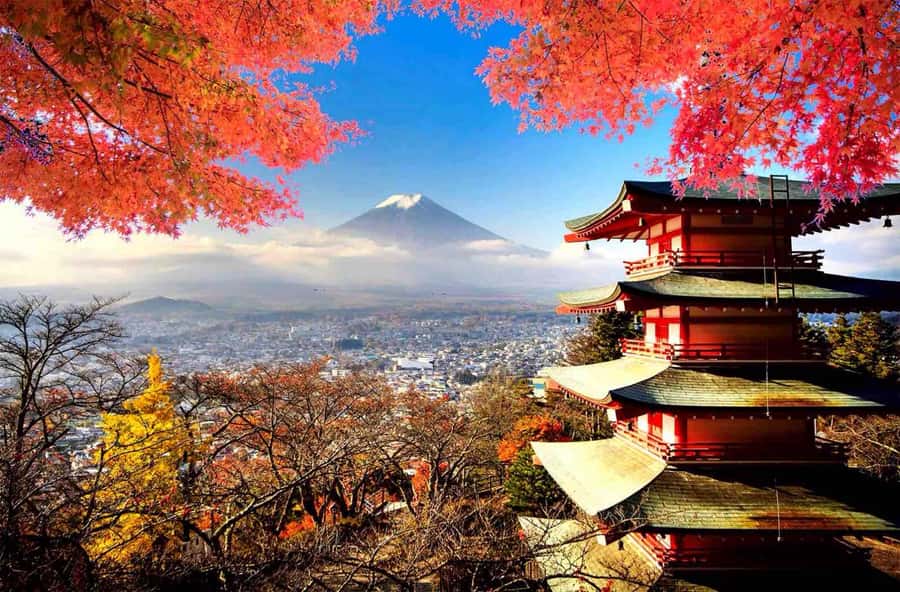 From Tokyo: Mount Fuji Full Day Private Tour English Guide - Starting early from Tokyo