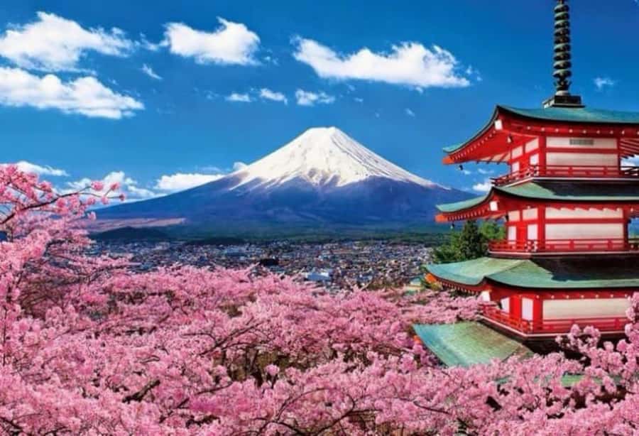 From Tokyo: Mount Fuji Full Day Private Tour English Guide - Lake Kawaguchi, Oishi Park, and changing views