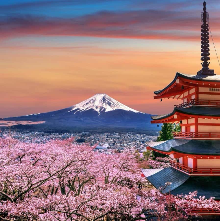 From Tokyo: Mount Fuji Full Day Private Tour English Guide - Timing, comfort, and the small limitations