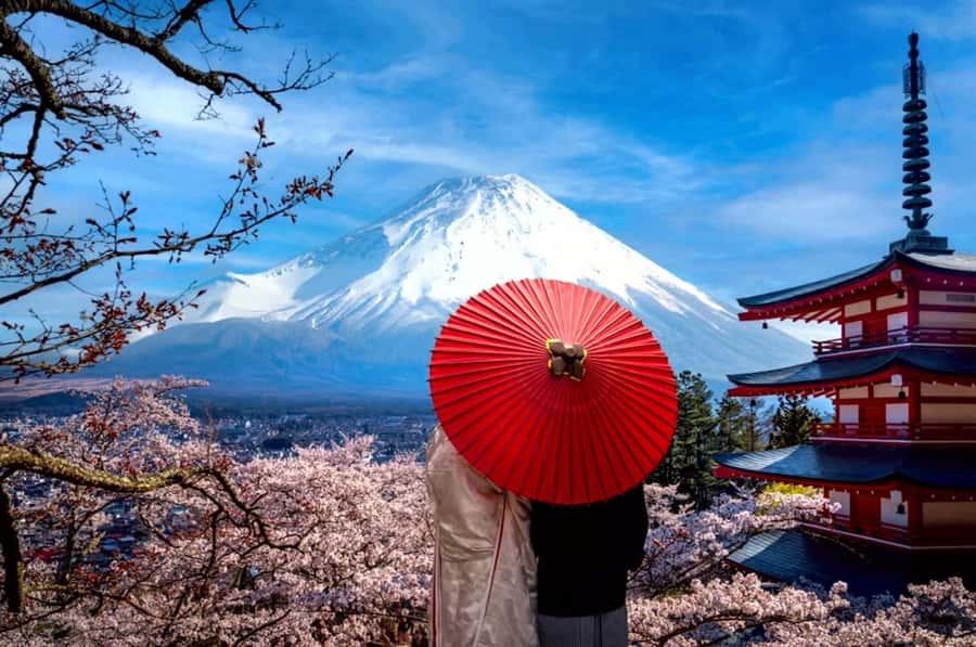 From Tokyo: Mount Fuji Full Day Private Tour English Guide - Who gets the best value from this tour