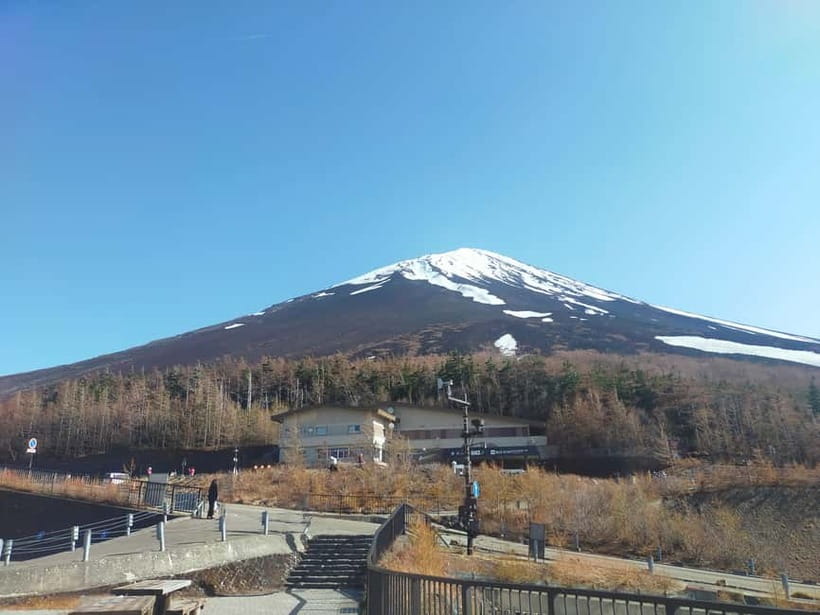 From Tokyo: Mount Fuji Full-Day Sightseeing Trip - Oshino Hakkai, mountain water, and lunch