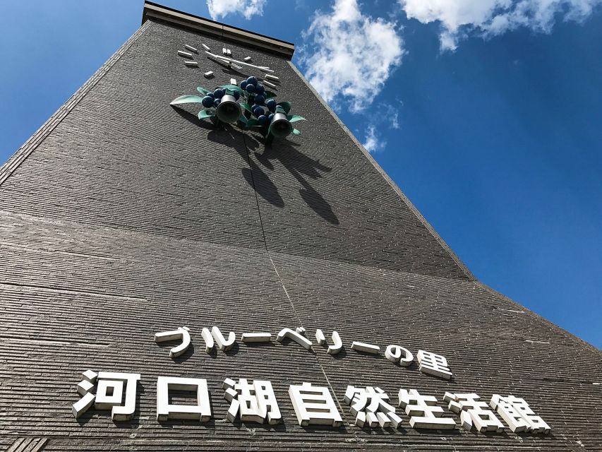 From Tokyo: Mount Fuji Full-Day Sightseeing Trip - Meeting points and what to carry