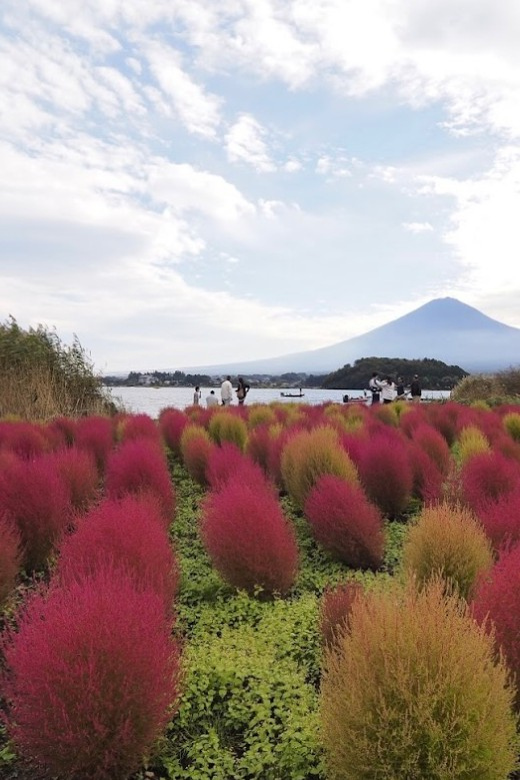 From Tokyo:Mount Fuji&Hakone Customize Full Day Private Tour - The drivers and the level of personal service