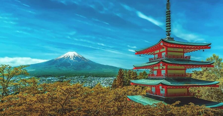 From Tokyo: Mount Fuji & Hakone Customize Private Day Tour - Key points to know before you book