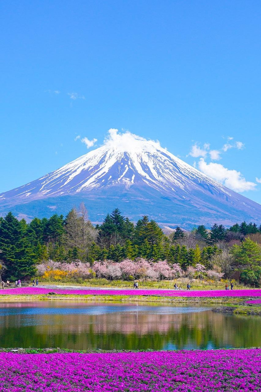 From Tokyo: Mount Fuji & Hakone Customize Private Day Tour - Timing, traffic, and weather