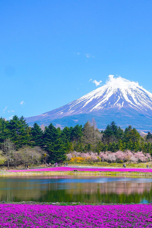 From Tokyo: Mount Fuji & Hakone Customize Private Day Tour - Oshino Hakkai’s springs and village lanes