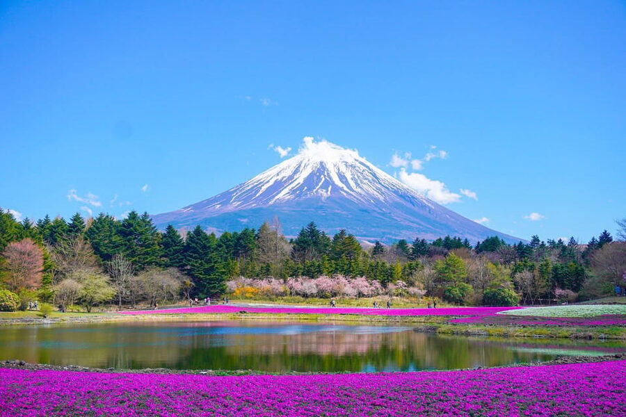 From Tokyo: Mount Fuji & Hakone Customize Private Day Tour - Lake Kawaguchiko for lunch and wide Fuji views