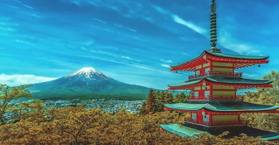 From Tokyo: Mount Fuji & Hakone Customize Private Day Tour - What the vehicle and driver add