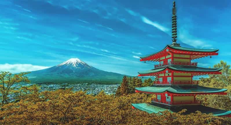 From Tokyo: Mount Fuji & Hakone Customize Private Day Tour - Starting with Chureito Pagoda