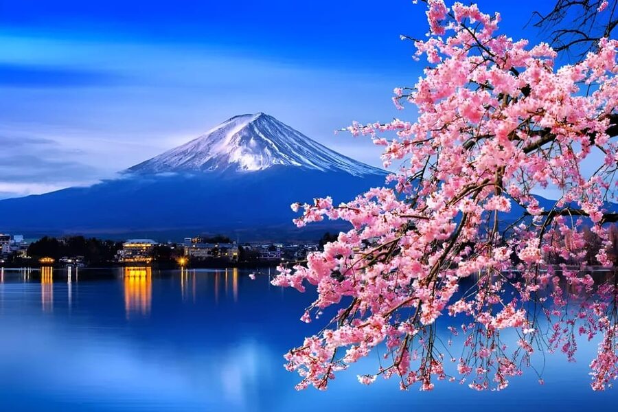 From Tokyo: Mount Fuji & Hakone Full Day Private Tour - Fuji Subaru Line 5th Station at 2,300 meters