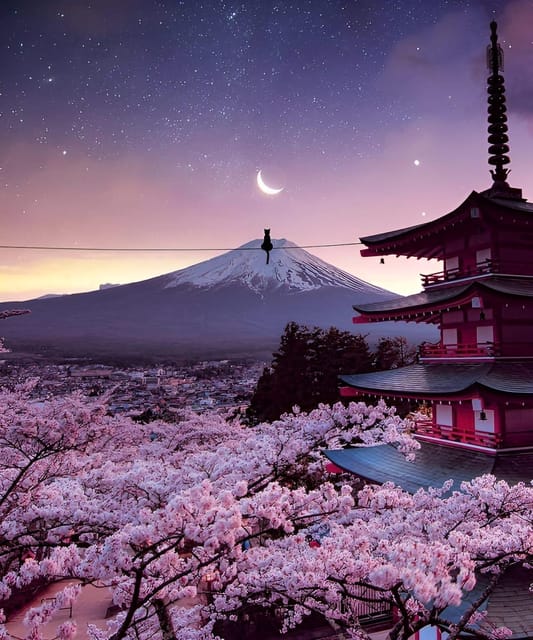 From Tokyo: Mount Fuji & Hakone Full Day Private Tour - Owakudani Valley and volcanic Hakone