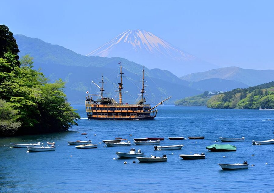 From Tokyo: Mount Fuji & Hakone Full Day Private Tour - Saiko Iyashi-no-Sato Nenba and old village Japan