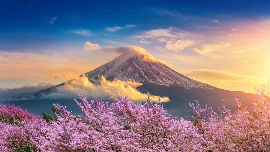 From Tokyo: Mount Fuji Highlights Private Tour - Who gets the best value from the $304 price